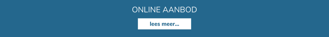 online aanbod - Sylvia Van Loo - Uit-Zicht (Brugge): studiebegeleiding - studiekeuze - loopbaanbegeleiding - KernTalentenanalyse