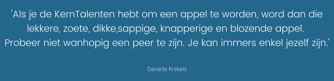 Danielle Krekels - Sylvia Van Loo - Uit-Zicht (Brugge): studiebegeleiding - studiekeuze - loopbaanbegeleiding - KernTalentenanalyse